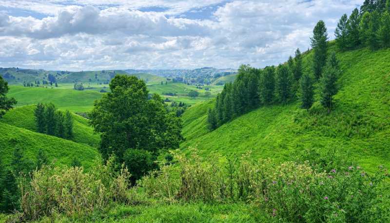  Hikumutu Road, Taumarunui