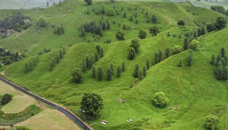  Hikumutu Road, Taumarunui