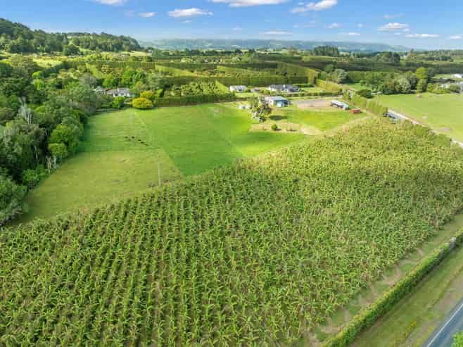 15 Snooks Road, Maungatapere