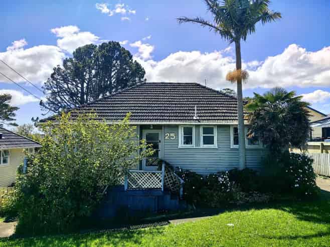 25 Marion Avenue, Mount Roskill