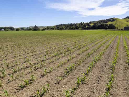 622 Lavenham Road, Ngatapa