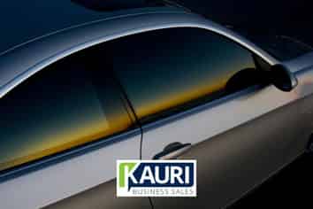 Tint Business – Quick Return and Low Risk