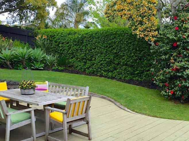 10 Harlston Road, Mount Albert