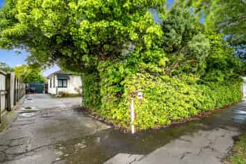 105 Vogel Street, Roslyn