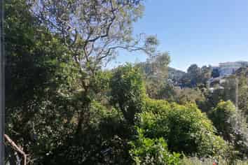 52 Raroa Road, Kelburn