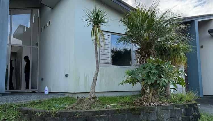 52 Aspiring Avenue, Flat Bush