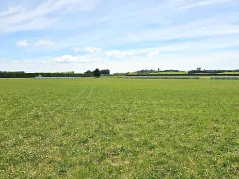 391A Otama Road, Otama