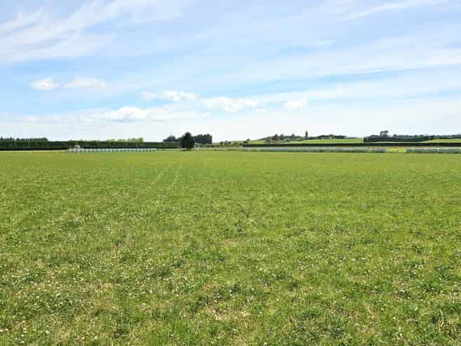 391A Otama Road, Otama