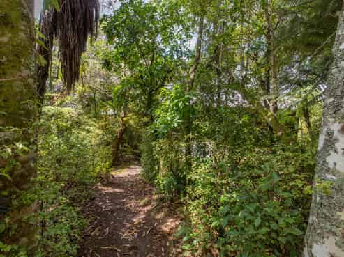 33 Hauraki Terrace, Pukawa