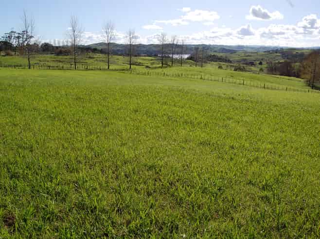 54 Rangiora Road, Leigh