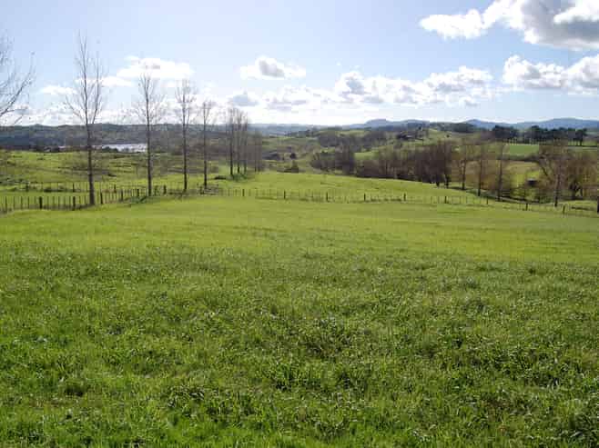 54 Rangiora Road, Leigh