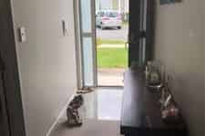 14 Shelby Lane, Flat Bush