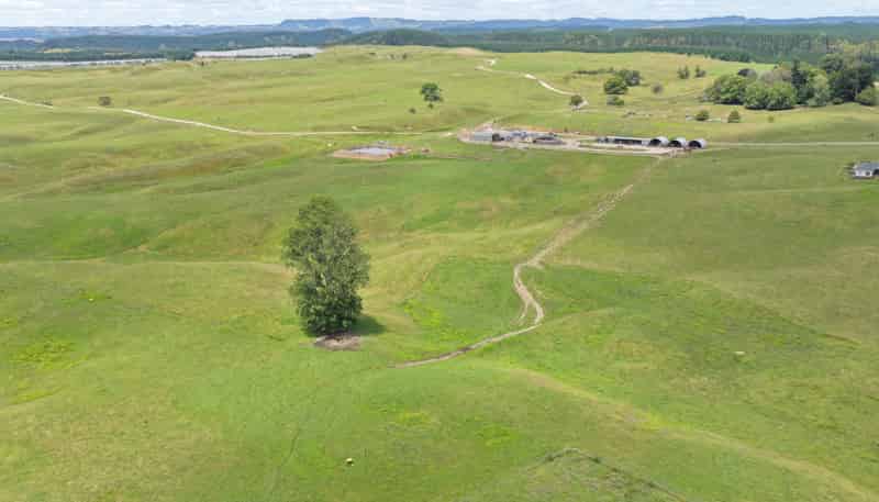 177 Johnson Road, Pukehina
