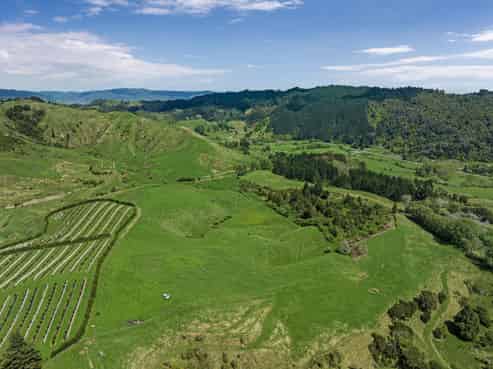 2338 State Highway 2, Nukuhou