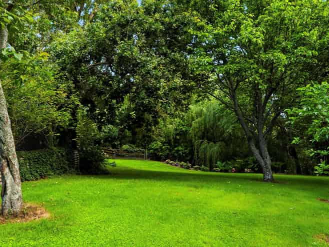 41 Walmsley Rd, Waihi