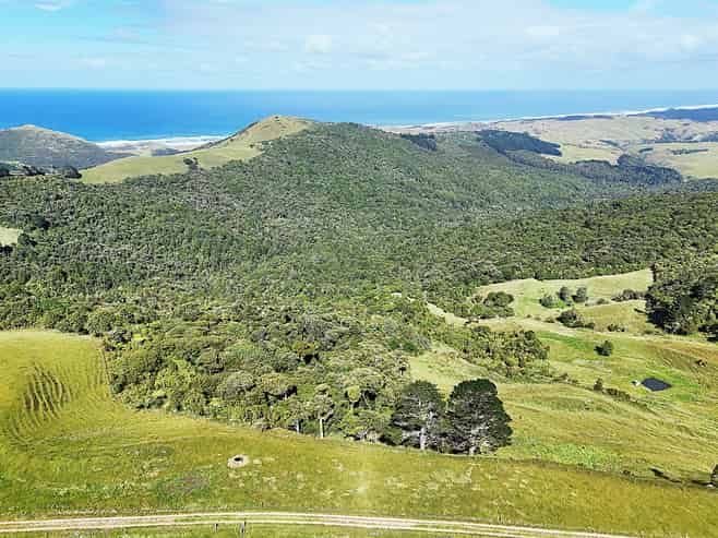  Cnr Hood Rd and SH12, Aranga
