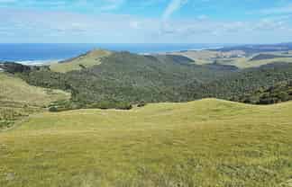  Cnr Hood Rd and SH12, Aranga