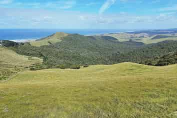  Cnr Hood Rd and SH12, Aranga