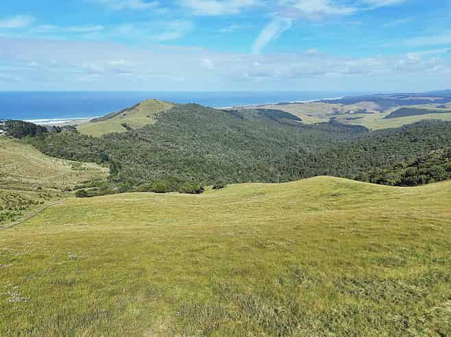  Cnr Hood Rd and SH12, Aranga