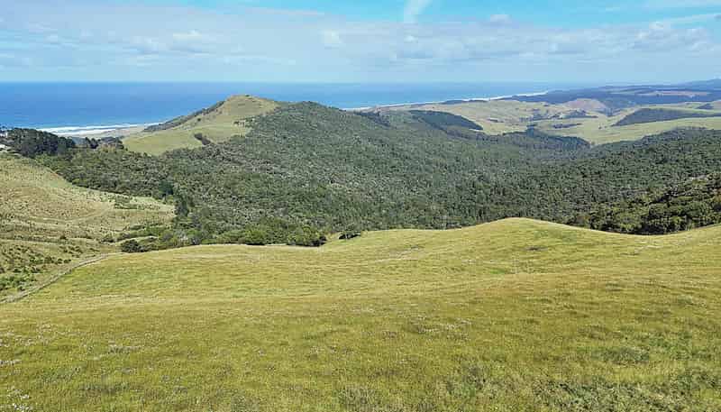  Cnr Hood Rd and SH12, Aranga