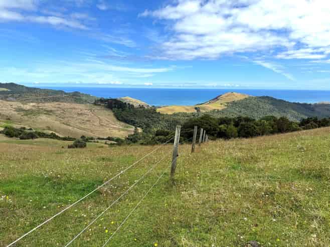  Cnr Hood Rd and SH12, Aranga