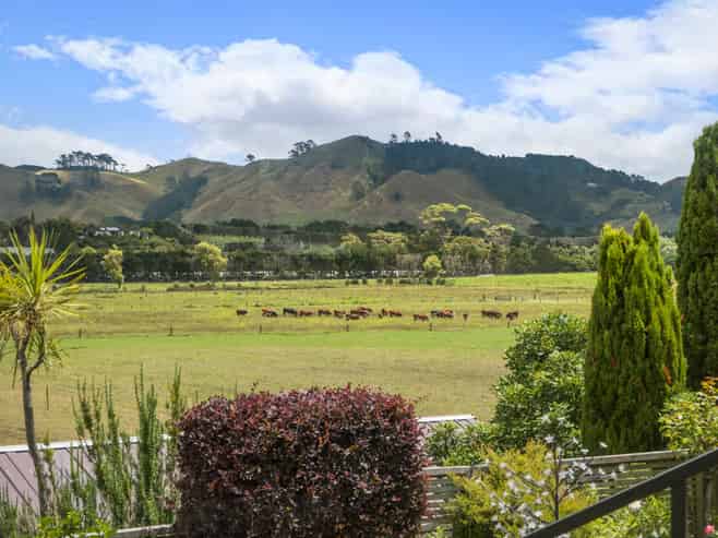 6 Hanlen Avenue, Waihi Beach