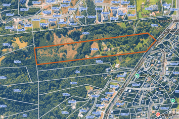 295 Glenvar Road, Long Bay