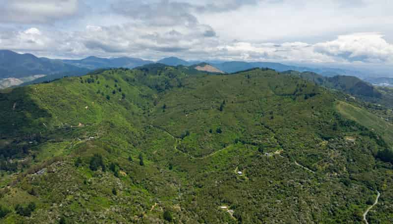 185 Kanuka Rise, Wakapuaka