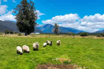 2328A Arthurs Road, Franz Josef Glacier