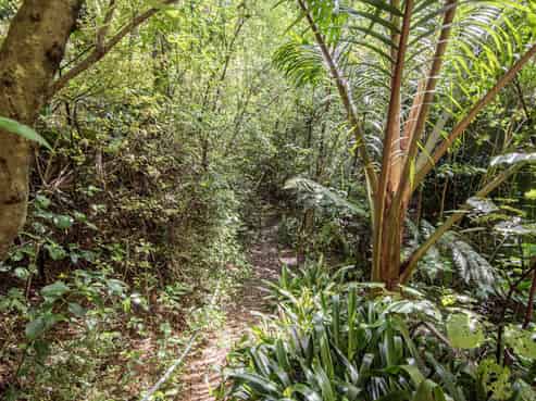 38 Our Road, Whangarei Heads
