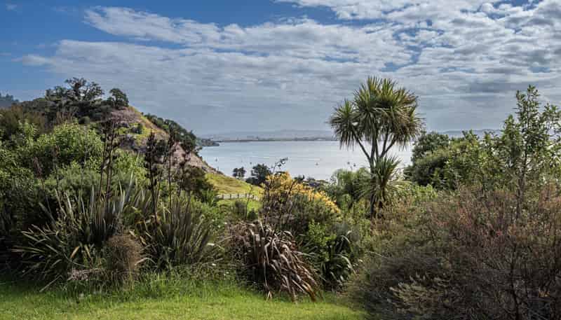 38 Our Road, Whangarei Heads