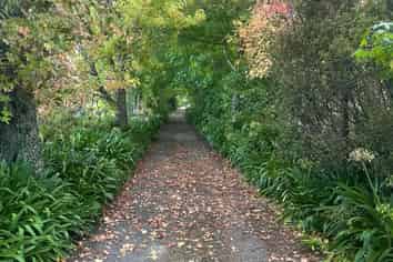 26 Mahoenui Valley Road, Coatesville