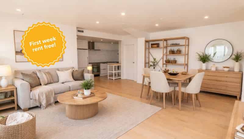 5D/163 Thorndon Quay, Thorndon