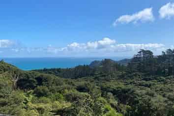 Auckland - Address withheld