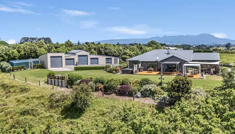 98 Pitt Road, Hillsborough