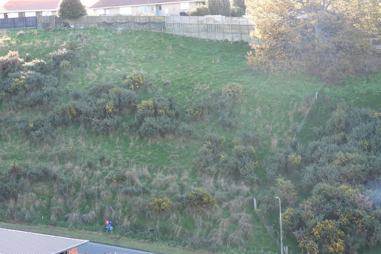 Build your dream home here! - Vista 5