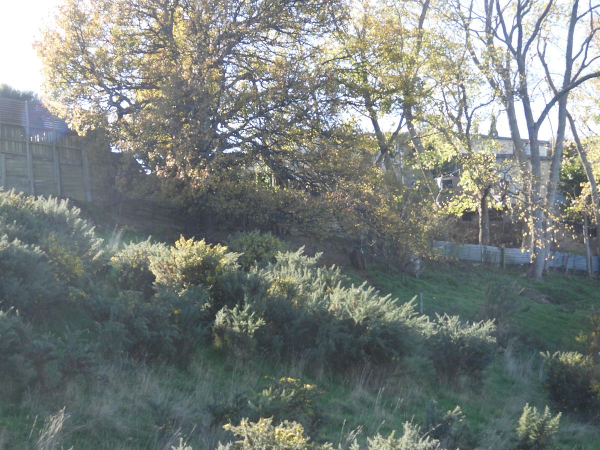 Build your dream home here! - More