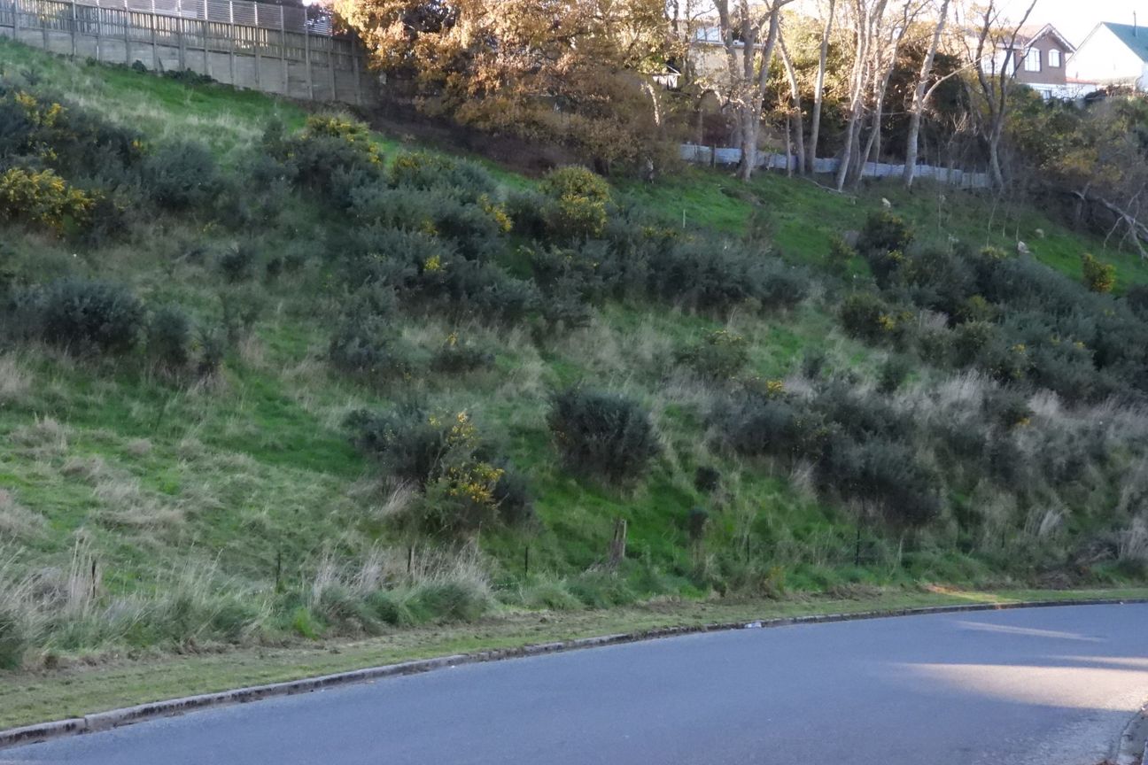 Build your dream home here! - Vista 2