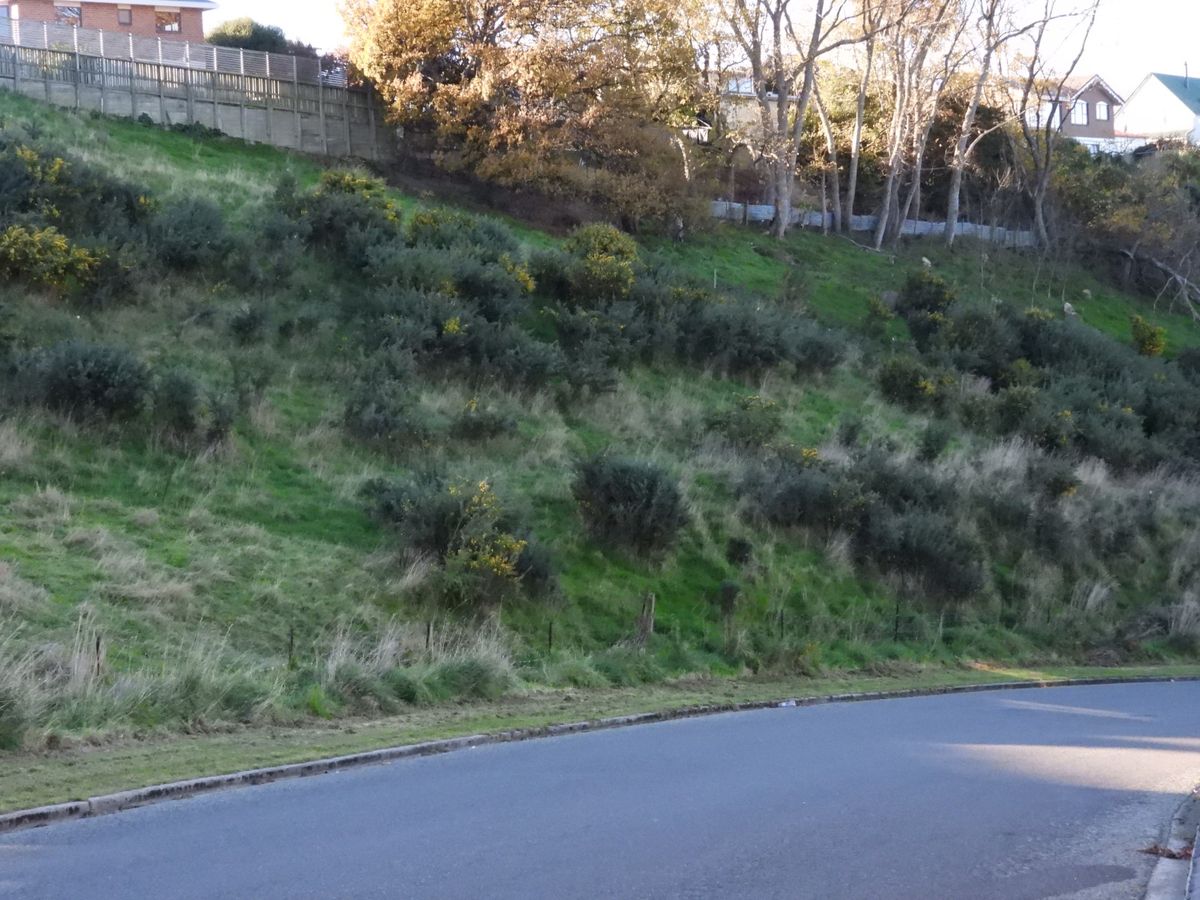 Build your dream home here! - View 2