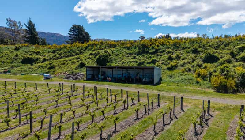 1829 Awatere Valley Road, Awatere Valley
