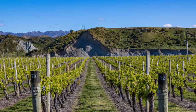 1829 Awatere Valley Road, Awatere Valley