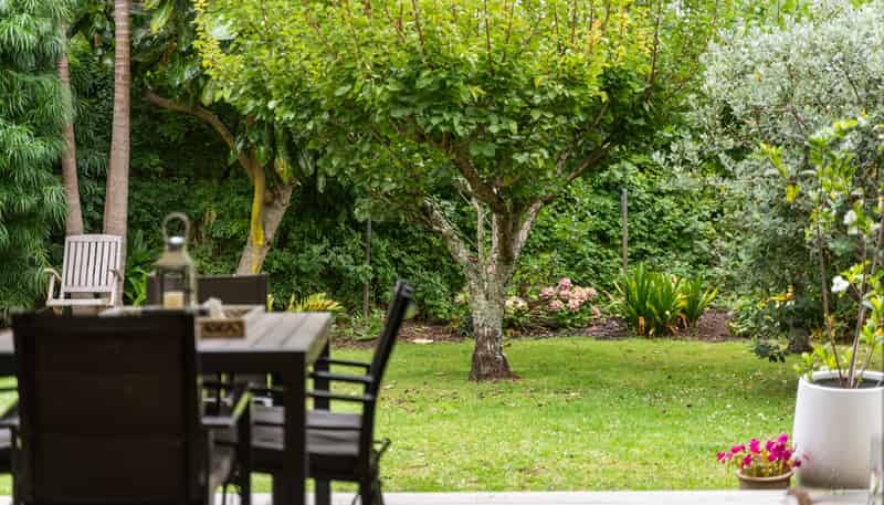 2/40 Speight Road, Kohimarama