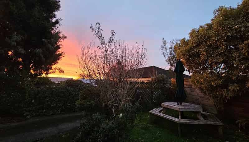 22A McHardy Street, Havelock North