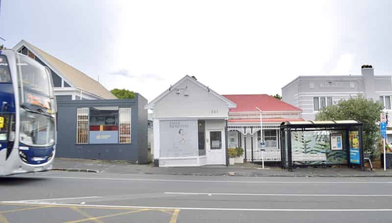 341 domionion road, Mount Eden