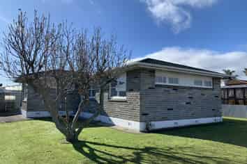 3 Selwyn Street, Levin