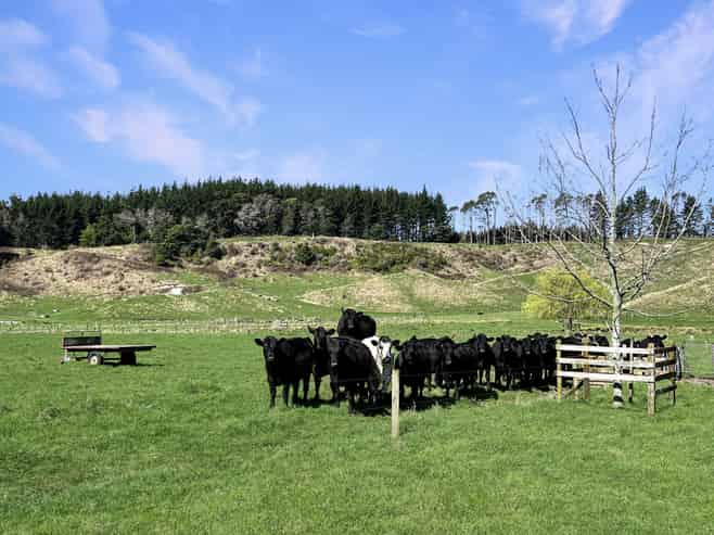 3005 State Highway 30, Whakatane