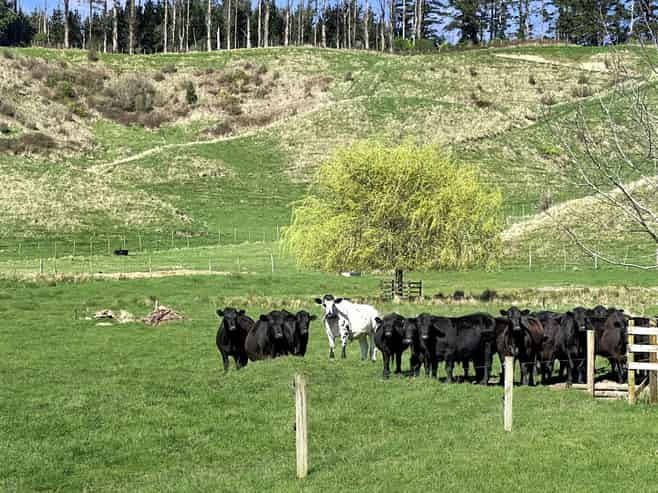 3005 State Highway 30, Whakatane