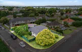 76 Court Crescent, Panmure