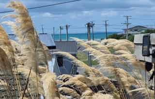 17 William Street, Riverton