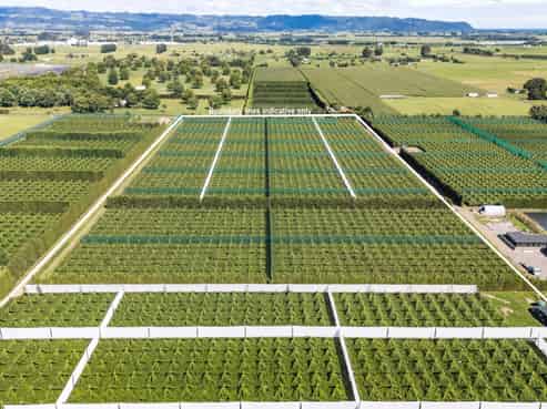 163C Western Drain Road, Edgecumbe